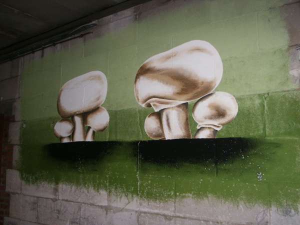 decorateurs Meldert (Limb.) | Deco Lizzelangelo